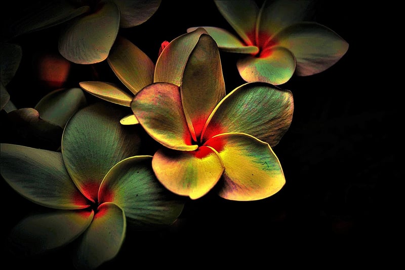 Abstract Inspiration